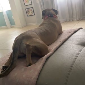 Meet your Posher, Zakhai in